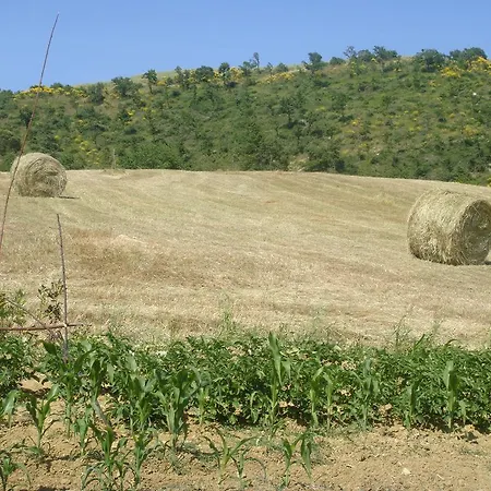 Farm stay Alla Valle Del Falco