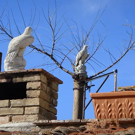 Farm stay Alla Valle Del Falco *