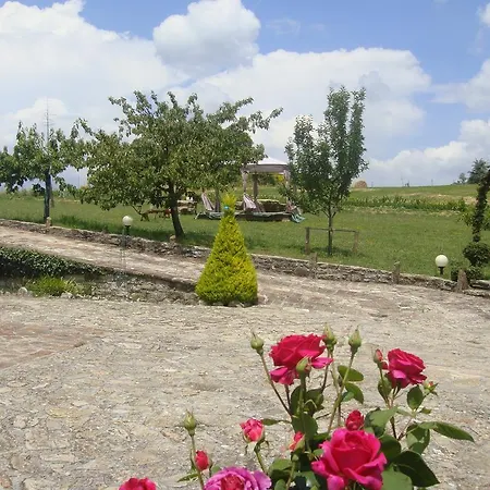 Alla Valle Del Falco