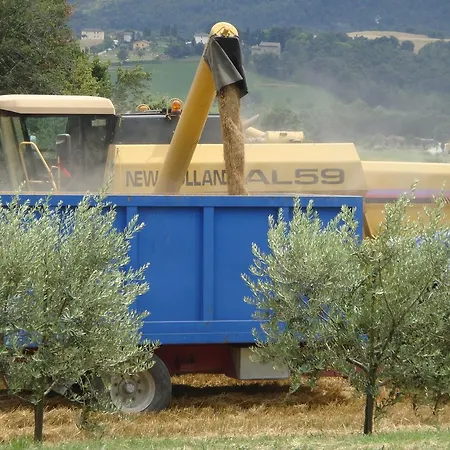 Farm stay Alla Valle Del Falco Frazione Mocaiana