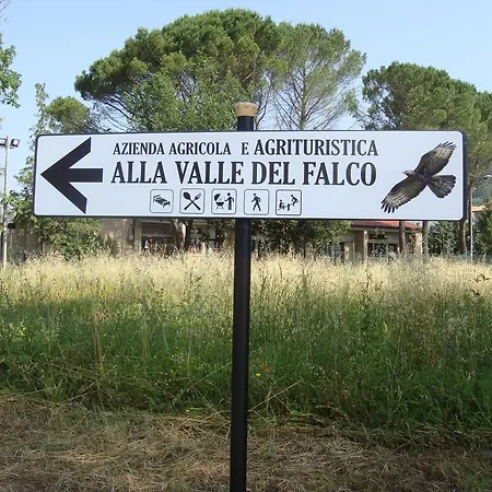 Alla Valle Del Falco