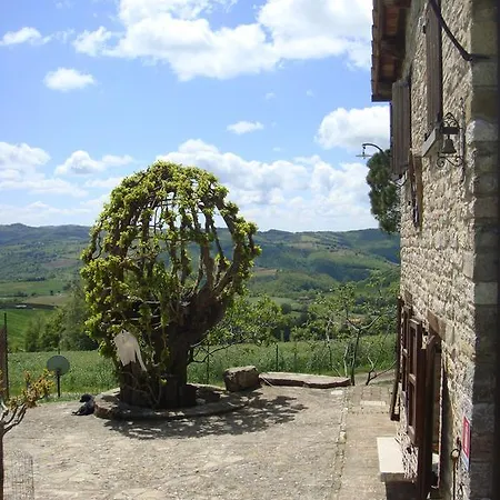 Alla Valle Del Falco Farm stay *