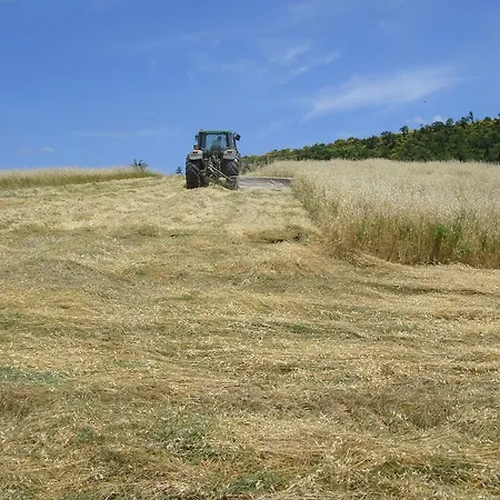 Farm stay Alla Valle Del Falco